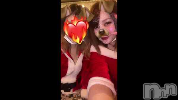 �֤��ȣ�����������