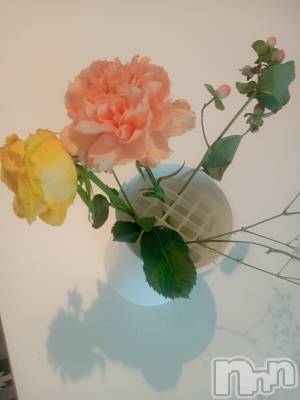 長岡デリヘル 人妻楼　長岡店(ヒトヅマロウ　ナガオカテン) きら(35)の2月3日写メブログ「こんばんは★」