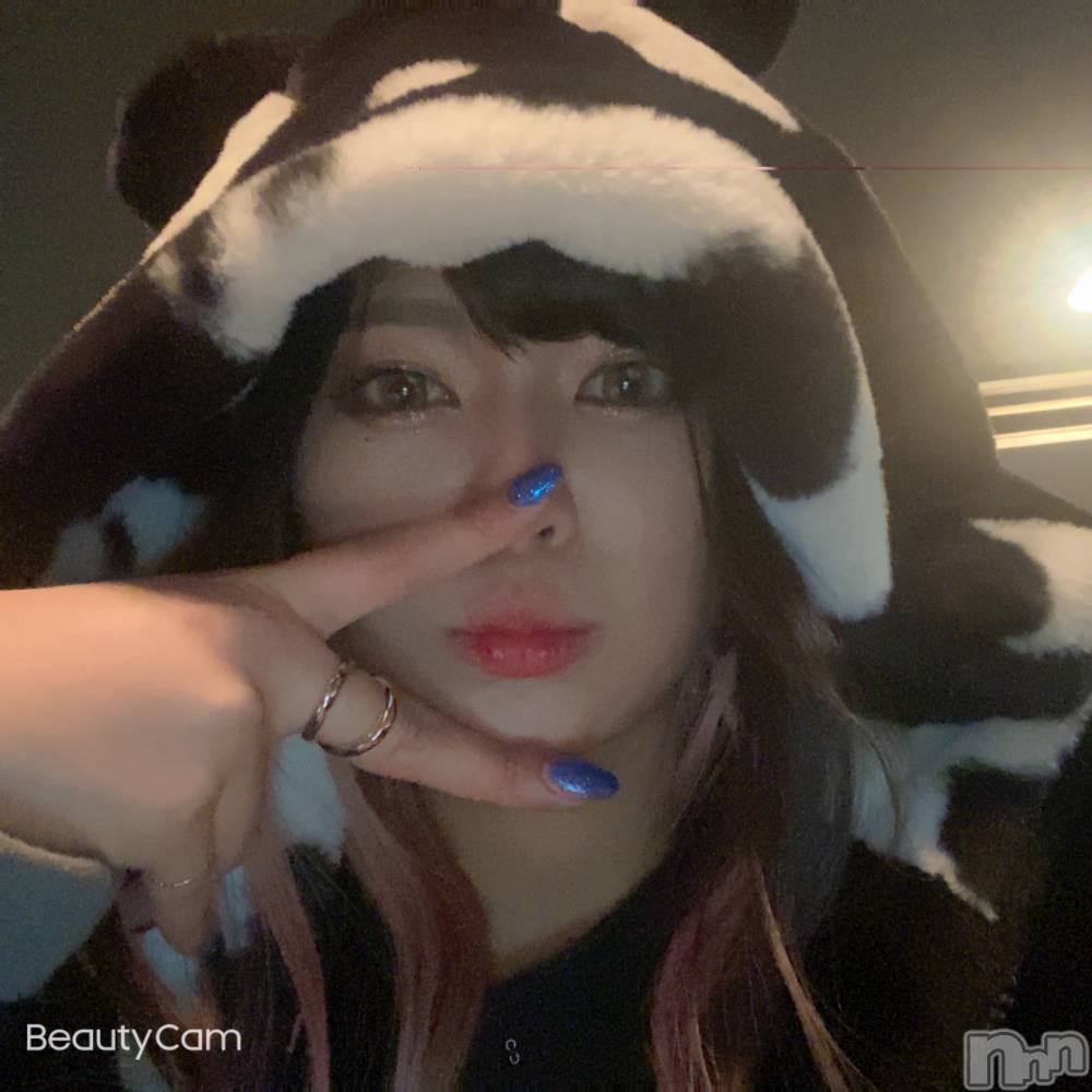 ʥå륺СSnack amie(ʥå ) 椦31̥֥🐯ѥ