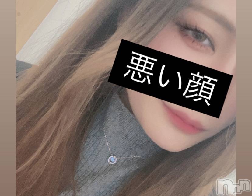 ʥå륺СSnack amie(ʥå ) 2025ǯ24̥֥🐯