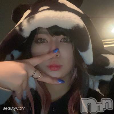 ʥå륺СSnack amie(ʥå ) 椦(27)31̥֥🐯ѥ
