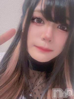 ʥå륺СSnack amie(ʥå ) 椦(27)116̥֥🐯ǥơ