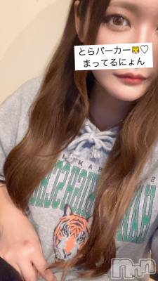 ʥå륺СSnack amie(ʥå ) 椦(27)127̥֥🐯ǡλ☑️