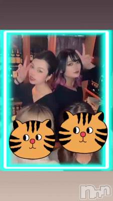 🐯ʤ֤Ǥ