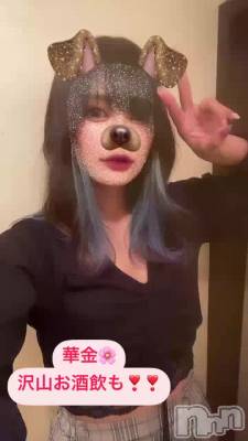 🐯⤦