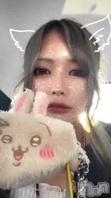 🐯ʥʥ