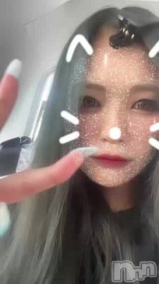 🐯