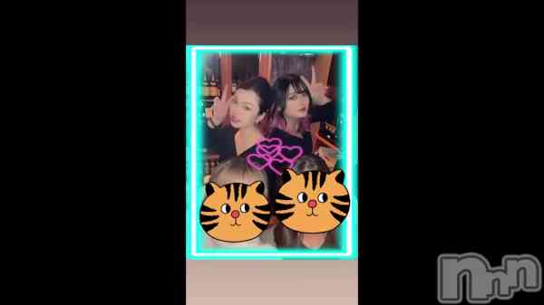 &#x1F42F;ʤ֤Ǥ