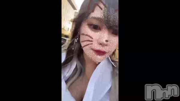 &#x202A;&#x22C6;&#x35B;&#x1F42F;&#x22C6;&#x35B;䡼á