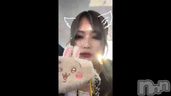 &#x1F42F;ʥʥ