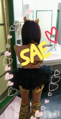 長岡デリヘル 人妻楼　長岡店(ヒトヅマロウ　ナガオカテン) さえ(30)の2月22日写メブログ「今日もありがとうございました(*´ω｀*)」