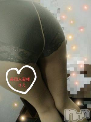 長岡デリヘル 人妻楼　長岡店(ヒトヅマロウ　ナガオカテン) さえ(30)の3月26日写メブログ「おしりでか、」