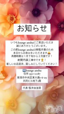 ʥå륺СLounge Anshu(饦󥸥󥷥) 115ֽ̥֥ʤΤ餻🔥