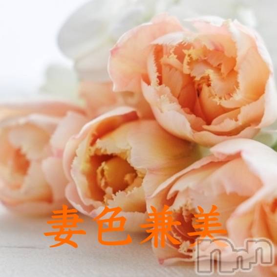 󥺥ƺʿ Ź   (祯ӡ˥奦ƥ)  2023ǯ320̥֥Spring spring fair🌷