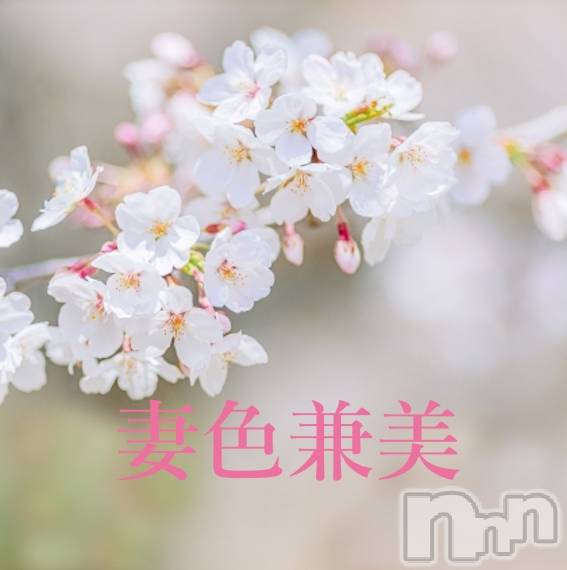新潟メンズエステ(サイショクケンビ　ニイガタチュウオウテン)の2026年3月20日お店速報「Dance beautifully🌸」