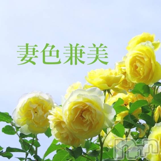新潟メンズエステ(サイショクケンビ　ニイガタチュウオウテン)の2026年5月24日お店速報「 deep green season 🌲」