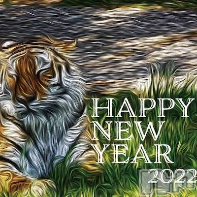 新潟メンズエステ(サイショクケンビ　ニイガタチュウオウテン)の2022年1月4日お店速報「Happy New Year Sale❗️」