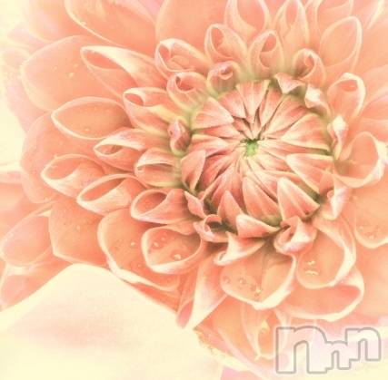 新潟メンズエステ(サイショクケンビ　ニイガタチュウオウテン)の2022年3月23日お店速報「Spring has come fair❗️」