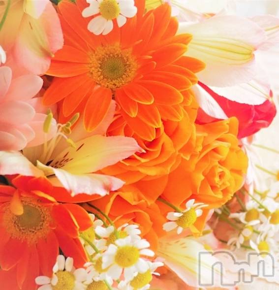 新潟メンズエステ(サイショクケンビ　ニイガタチュウオウテン)の2023年4月29日お店速報「New beginning fair🌿」