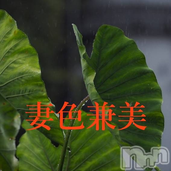 新潟メンズエステ(サイショクケンビ　ニイガタチュウオウテン)の2023年6月27日お店速報「Rainy season fair🌿」