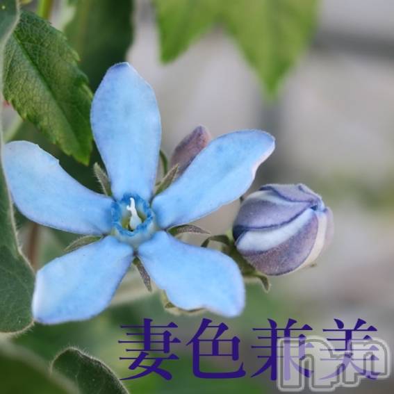 新潟メンズエステ(サイショクケンビ　ニイガタチュウオウテン)の2023年9月15日お店速報「Autumn is in the air🌰」