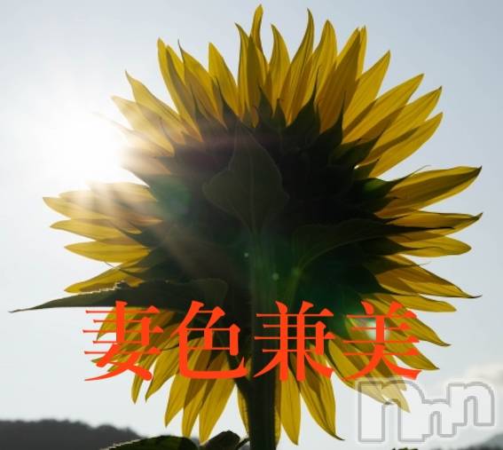 新潟メンズエステ(サイショクケンビ　ニイガタチュウオウテン)の2024年8月20日お店速報「Summer to autumn 🌻」