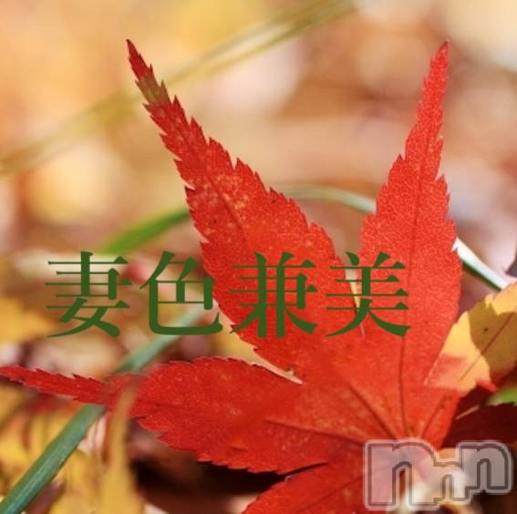 新潟メンズエステ(サイショクケンビ　ニイガタチュウオウテン)の2024年9月1日お店速報「It’s autumn fair🌰」