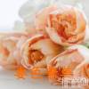 󥺥 ʿ Ź   (祯ӡ˥奦ƥ)327Ź®Spring spring fair🌷