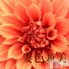 󥺥 ʿ Ź   (祯ӡ˥奦ƥ)1130Ź®Winter  is  coming  fair ❄️