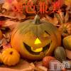 㡦ȯĥꥢ󥺥 ʿ Ź   (祯ӡ˥奦ƥ)109Ź®Halloween party 🎃