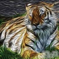 新潟メンズエステ 妻色兼美 新潟中央店   (サイショクケンビ　ニイガタチュウオウテン)の1月22日お店速報「新春SALE❗️」