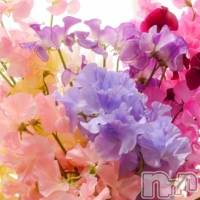 新潟メンズエステ 妻色兼美 新潟中央店   (サイショクケンビ　ニイガタチュウオウテン)の5月28日お店速報「5 Festival❗️」