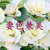 新潟メンズエステ 妻色兼美 新潟中央店   (サイショクケンビ　ニイガタチュウオウテン)の11月25日お店速報「Winter is coming fair 」