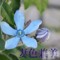 新潟メンズエステ 妻色兼美 新潟中央店   (サイショクケンビ　ニイガタチュウオウテン)の9月15日お店速報「Autumn is in the air🌰」