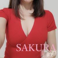 新潟メンズエステ 妻色兼美 新潟中央店   (サイショクケンビ　ニイガタチュウオウテン)の1月16日お店速報「《△残りわずか》本日【サクラ】1名出勤！！！」