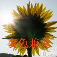 新潟メンズエステ 妻色兼美 新潟中央店   (サイショクケンビ　ニイガタチュウオウテン)の8月1日お店速報「Summer to autumn 🌻」