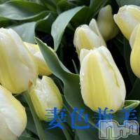 新潟メンズエステ 妻色兼美 新潟中央店   (サイショクケンビ　ニイガタチュウオウテン)の4月24日お店速報「Spring fever🌷」