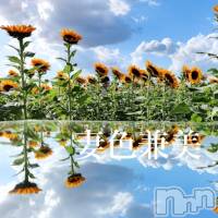 新潟メンズエステ 妻色兼美 新潟中央店   (サイショクケンビ　ニイガタチュウオウテン)の8月2日お店速報「End of summer days👒」