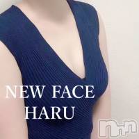 新潟メンズエステ 妻色兼美 新潟中央店   (サイショクケンビ　ニイガタチュウオウテン)の10月29日お店速報「《◎多少空きあり》明日29日(水)【ハル】【サクラ】【カスミ】3名出勤！」