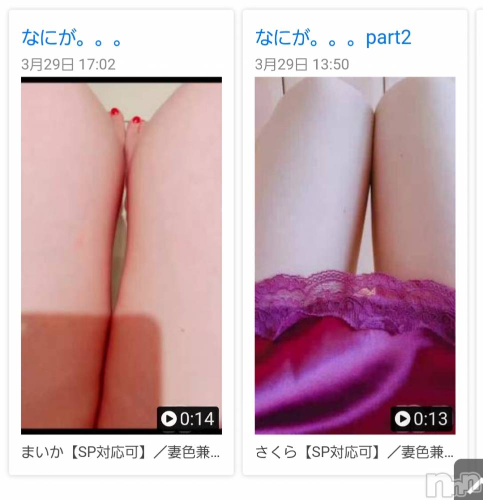 㡦ȯĥꥢ󥺥ƺʿ Ź   (祯ӡ˥奦ƥ) SPбġۤ329̥֥֥饷