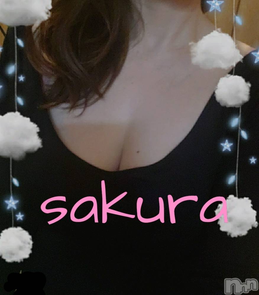 㡦ȯĥꥢ󥺥ƺʿ Ź   (祯ӡ˥奦ƥ) SPбġۤ14̥֥ͽ🗓️