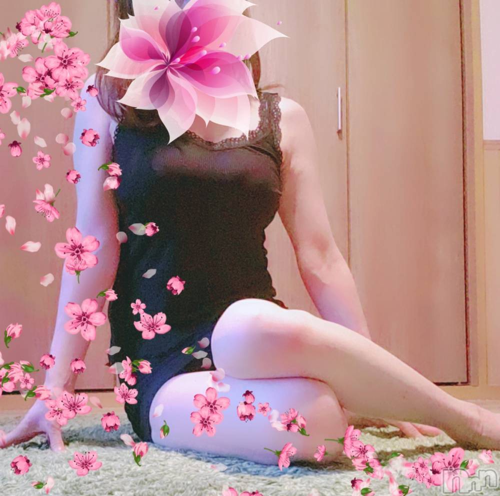 㡦ȯĥꥢ󥺥ƺʿ Ź   (祯ӡ˥奦ƥ) SPбġۤ216ֵ̥֥ʬϽդɡ