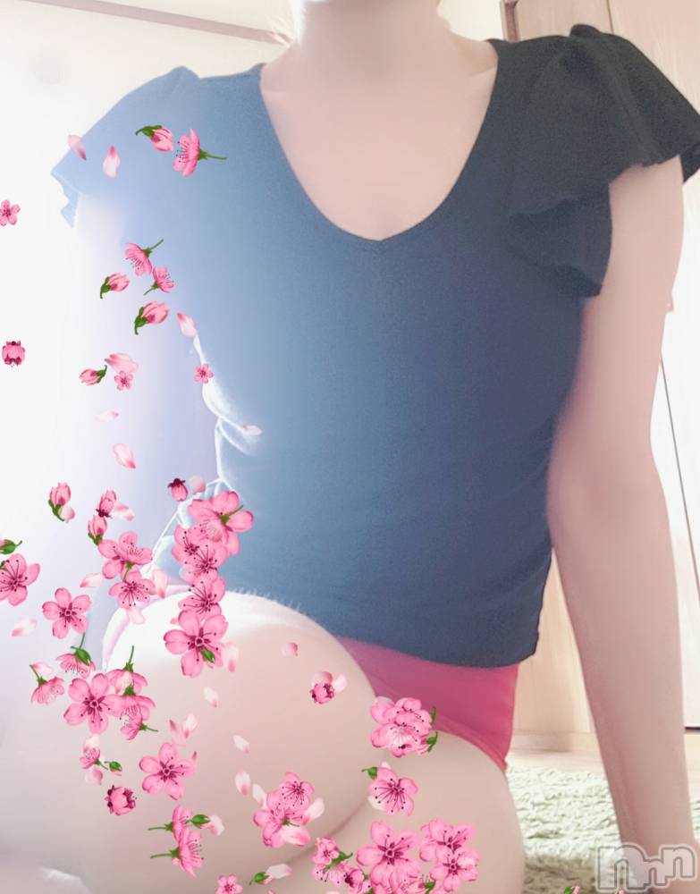 㡦ȯĥꥢ󥺥ƺʿ Ź   (祯ӡ˥奦ƥ) SPбġۤ228̥֥SAKURA