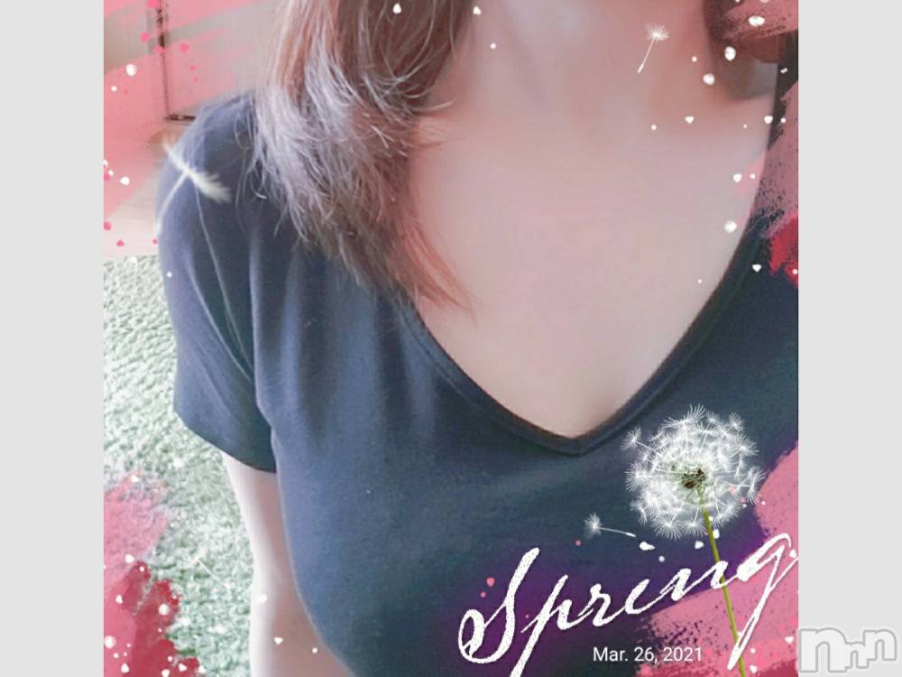 㡦ȯĥꥢ󥺥ƺʿ Ź   (祯ӡ˥奦ƥ) SPбġۤ326̥֥֡