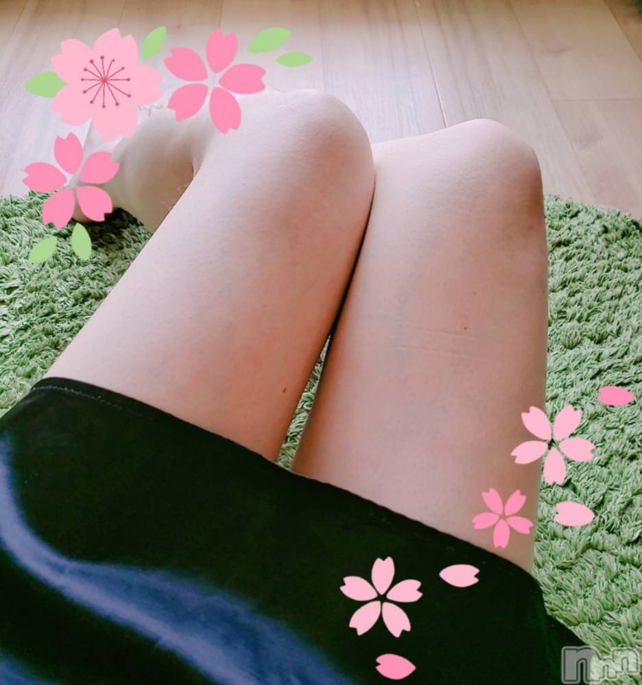㡦ȯĥꥢ󥺥ƺʿ Ź   (祯ӡ˥奦ƥ) SPбġۤ47̥֥֥ߥ˥Ρ