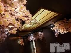 新潟メンズエステ妻色兼美 新潟中央店   (サイショクケンビ　ニイガタチュウオウテン) さくら【SP対応可】(39)の2月24日写メブログ「観桜会」