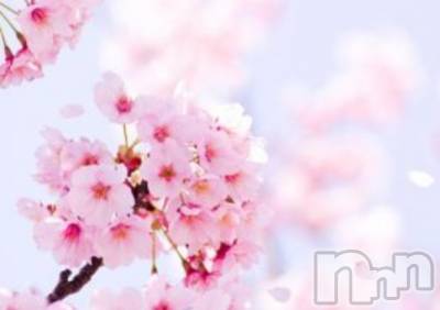 㡦ȯĥꥢ󥺥ƺʿ Ź   (祯ӡ˥奦ƥ) SPбġ(38)327ֺ̥֥ϲ(BGMʤ)