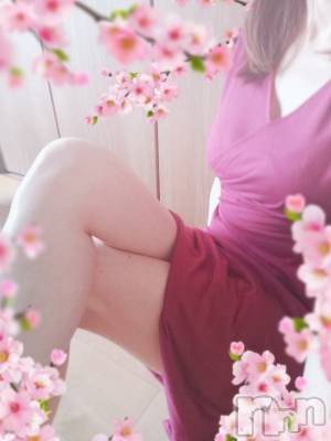 㡦ȯĥꥢ󥺥ƺʿ Ź   (祯ӡ˥奦ƥ) SPбġ(38)415ָ̥֥Ƥޤä