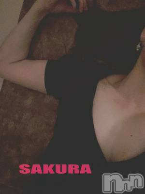 㡦ȯĥꥢ󥺥ƺʿ Ź   (祯ӡ˥奦ƥ) SPбġ(38)723̥֥֤