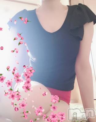 㡦ȯĥꥢ󥺥ƺʿ Ź   (祯ӡ˥奦ƥ) SPбġ(38)228̥֥SAKURA